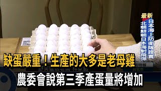 缺蛋嚴重！ 蛋價飆漲到52元高點 餐飲業成本飆－民視台語新聞 [upl. by Robet]