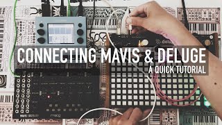 Connecting Moog Mavis amp Synthstrom Deluge  A Quick Tutorial [upl. by Lebam]