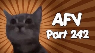 ☺ AFV Part 242  Americas Funniest Home Videos Funny Clips Fail Montage Compilation [upl. by Joyan]