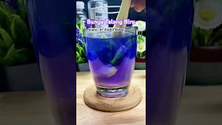 Bunga Telang Biru bungatelang shots drzaidulakbar diet [upl. by Aitercal687]