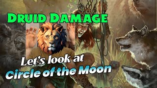 DRUID DampD 524 Damage 2024 Players Handbook [upl. by Catha]