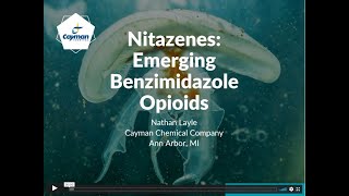 Nitazenes  Emerging Benzimidazole Opioids [upl. by Alie]