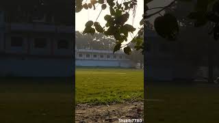 Practice matches between juniors cricket shakib practice match junior [upl. by Noirda]