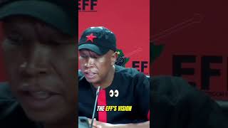 Julias Malema on Decolonizing Education EFFs Vision for South Africa [upl. by Baiel]