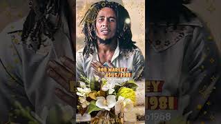 Bob Marley Could you be loved [upl. by Bayard]