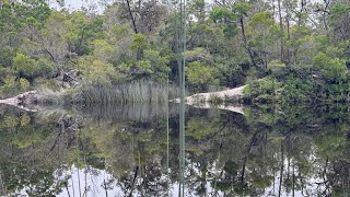 Reflective beauty of nature Upper Noosa River [upl. by Hodess]