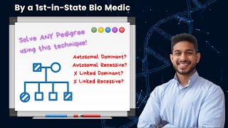 HSC Biology How To Quickly Solve ANY Pedigree Question  By a 5th Year Medic [upl. by Aihsemek]