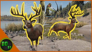 The Legendary Diamond Whitetail LAKE Call Of The Wild [upl. by Yorgerg]