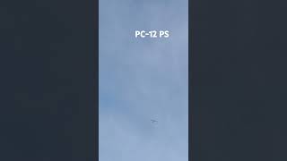 Pc12 plane [upl. by Hterag]