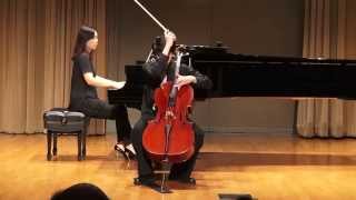 Dvorak Cello Concerto in B minor 3rd Movement [upl. by Anilave]