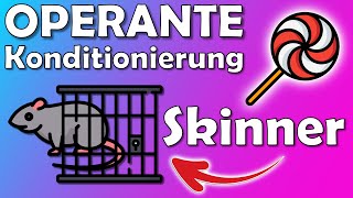 Operante Konditionierung nach Skinner  Lernen durch Verstärkung [upl. by Nytsirc385]