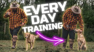 3 Dog Training Tips You Should Do Every Day With Your Dog [upl. by Diarmid]