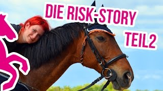 Die RiskantStory So Habe ich mein Pferd gekauft TEIL2 [upl. by Ylehsa52]