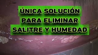 Como Eliminar la Humedad y el Salitre PARA SIEMPRE MUY ECONÓMICO [upl. by Engel]