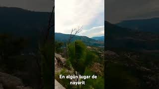 Hola soy nuevo espero que le gusten estas lindas vistas de la sierra de nayarit sierra [upl. by Aiekram]