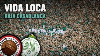 Vida Louca  Somos Curva Sud  Nova música da torcida do Raja Casablanca Legendado [upl. by Llertrac]