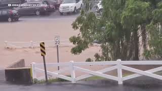 Dollywood Parking Lot Floods Amid Heavy Rain [upl. by Doralyn282]