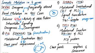 Pancreatic Carcinoma  Robbins pathology chapter 17 pancreas pathology pathology mbbslectures [upl. by Isabel]