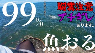 【胸糞注意】距離2mで割り込みされてブチギレかけたがええ魚釣れました… [upl. by Kcinemod]