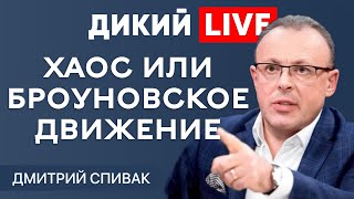 Не впадая в крайности Дмитрий Спивак ДИКИЙ LIVE [upl. by Brodench]