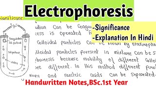 Electrophoresis  Significance  BSc1st Year Handwritten Notes chemistry [upl. by Enelime664]