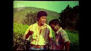 Gaha Kola Mal Suwandin  Anjana 1981 Sinhala Film Song [upl. by Luanne]