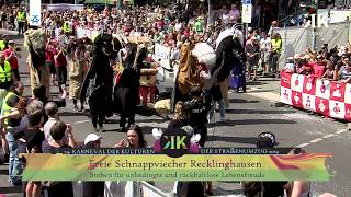 Freie Schnappviecher Recklinghausen  Karneval der Kulturen 2019 [upl. by Buchanan582]