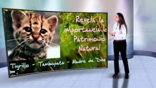 Cátedra Perú Ambiental  Valoración económica de servicios ecosistémicos [upl. by Mailiw50]