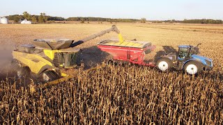 New Holland CR11 Shelling Corn [upl. by Elburr918]