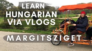 Learn Hungarian via Vlogs  Margitsziget quadracycling ‘bringóhintó’ [upl. by Sosthenna568]