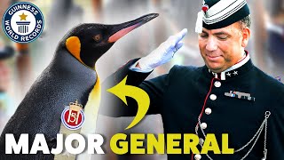 Meet Sir Nils Olav The Norwegian Armys Penguin Officer  Guinness World Records [upl. by Mcknight346]