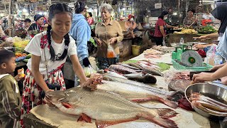 Market show  Chef pich buy big river fish and some ingredients for cooking  Cooking with Sreypich [upl. by Corydon]