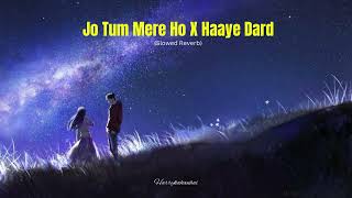 Jo Tum Mere Ho X Haaye Dard Slowed Reverb  Zack Knight  Anuv Jain  Darshan Raval  Mitraz [upl. by Marysa713]