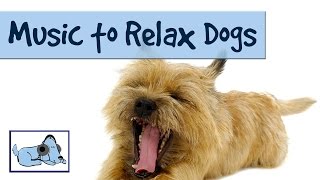 MUSIC TO RELAX DOGS  TRY IT ON YOUR DOG AND WATCH RelaxMyDog 🐶 RMD01 [upl. by Leissam]