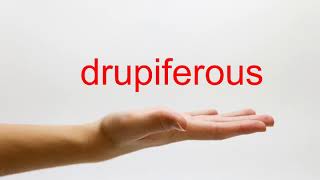 How to Pronounce drupiferous  American English [upl. by Lucila]