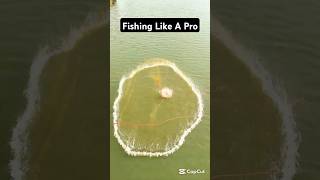 Fishing like a pro fishinglife fishtank fisherman fishvideo river aquarium catfish fish [upl. by Croft]