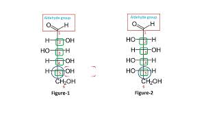 Difference between D and L glucose [upl. by Turne]