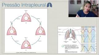 Ventilação Pulmonar Parte 3 Pressões Pulmonares [upl. by Damian396]