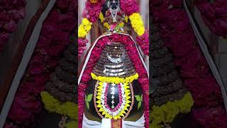 Om Namah Shivaya Hara Hara Bole Namah Shivaya trending viral lordshiva lordsiva monday [upl. by Nylodam]