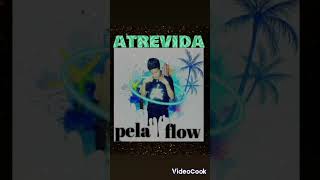 ATREViDA pela flow vol1 [upl. by Aicelaf]