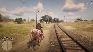 RED DEAD REDEMPTION 2 BUSCANDO TESOROS Y MISIÓN ENVÍO [upl. by Arhat]