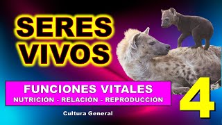 4Ev🐛Funciones vitales de los seres vivos4 🦅Examen y Repaso🐝TvColegio💯Por YouTube [upl. by Prouty]