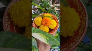 Earthen Bowl 🥣 Painting 🎨🖌️ trending art painting shorts viralvideo explore song diy [upl. by Cly]