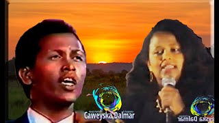 Sahara Dawo amp Xasan Aden Samatar I Heesta Gayaan [upl. by Kristine]