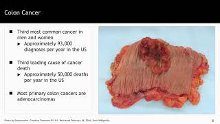 The Common Cancers  Introduction to the Biology of Cancer by Johns Hopkins University 5 [upl. by Auop959]