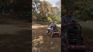 Zero turn mower tackling leaves lawncare mowingthelawn lawnmaintenance shortsfyp [upl. by Marcile]