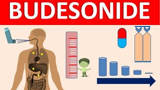 Budesonide  Mechanism side effects precautions amp uses [upl. by Norrahs497]