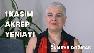 1 Kasım Akrep Yeniayı yeniay yeniayritüeli [upl. by Ocirema]