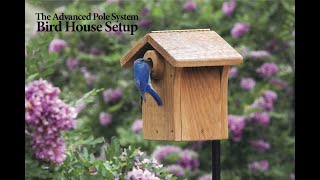 The Advanced Pole System® APS Bird House Setup [upl. by Akeemahs]