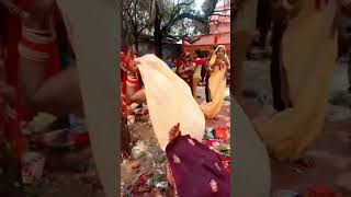 ❤🥰 VAT Savitri Vrat 🌺🥰 short video 🥰🙏🙏🙏🙏 [upl. by Ateuqirne130]